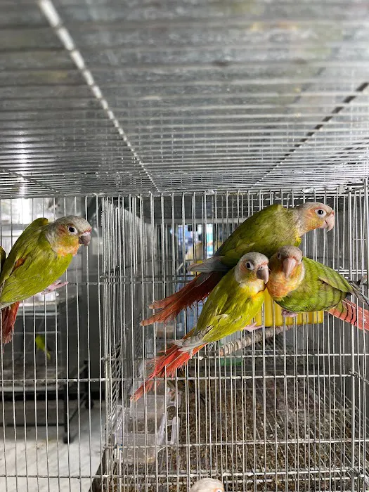 Hacienda La Piedad pet shop Picture 3