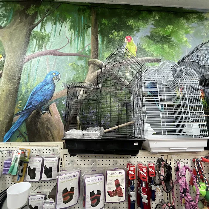 Hacienda La Piedad pet shop Picture 7