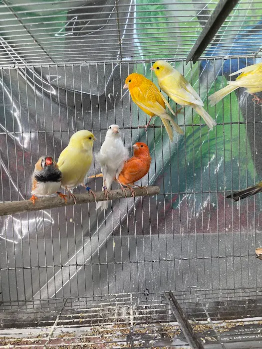 Hacienda La Piedad pet shop Picture 1