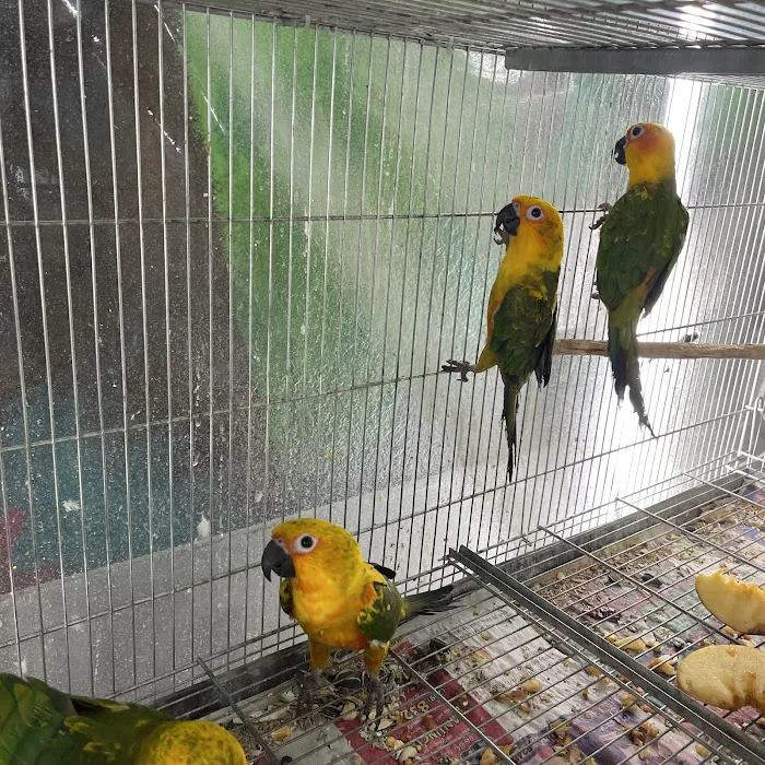 Hacienda La Piedad pet shop Picture 9