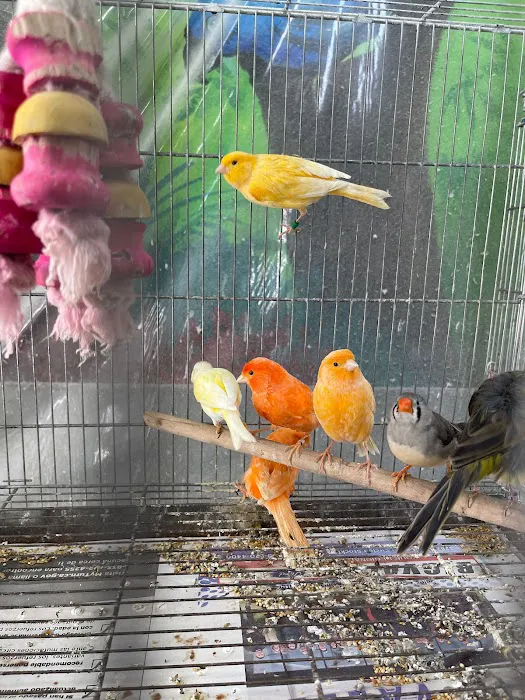 Hacienda La Piedad pet shop Picture 10