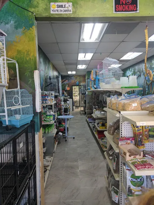 Hacienda La Piedad pet shop Picture 5
