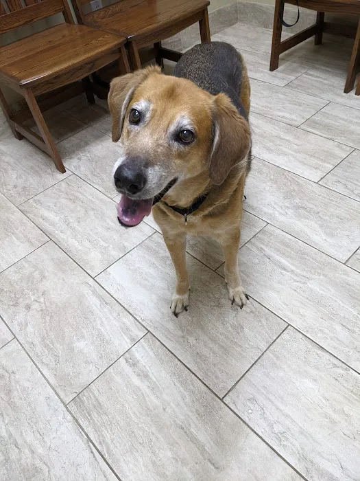 Guilford Animal Medical Center Picture 7