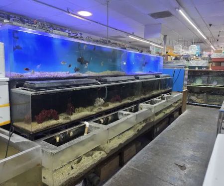 Twins Aquarium