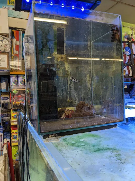 Twins Aquarium Picture 2