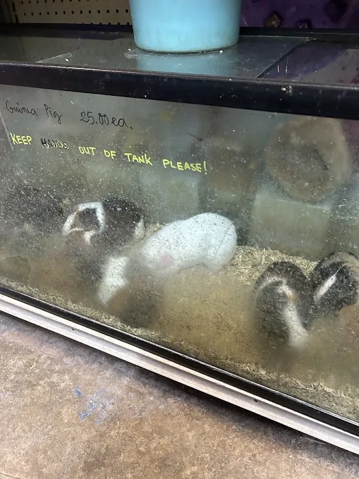 Twins Aquarium Picture 4