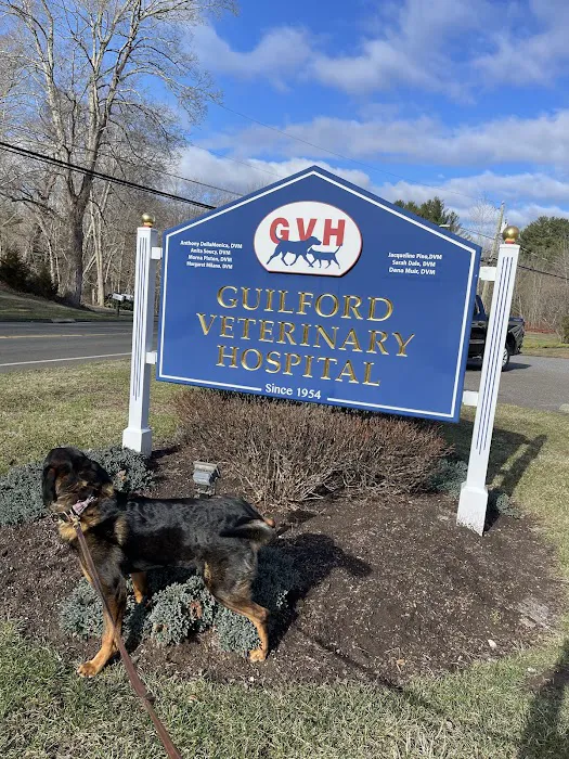 Guilford Veterinary Hospital Picture 1