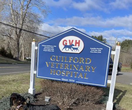 Guilford Veterinary Hospital
