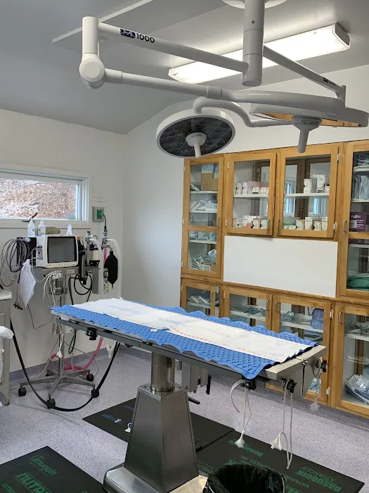 Guilford Veterinary Hospital Picture 3