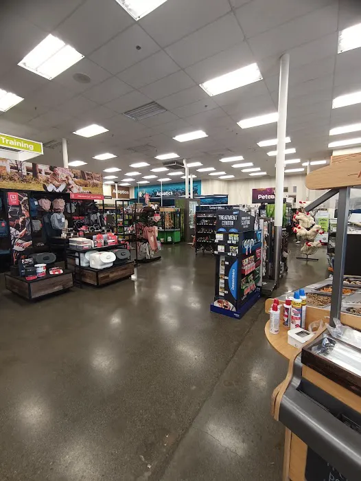 Petco Picture 8