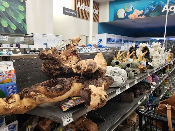 Petco Picture 2