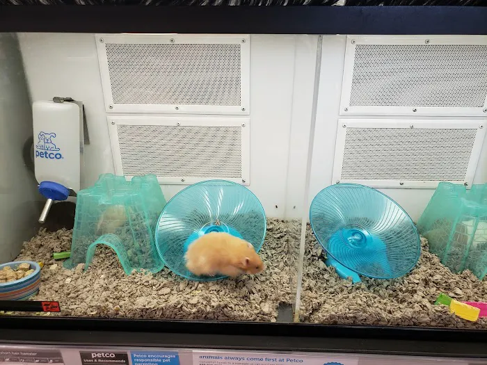 Petco Picture 1