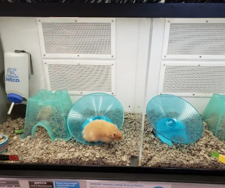 Petco