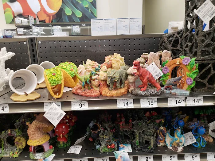 Petco Picture 7