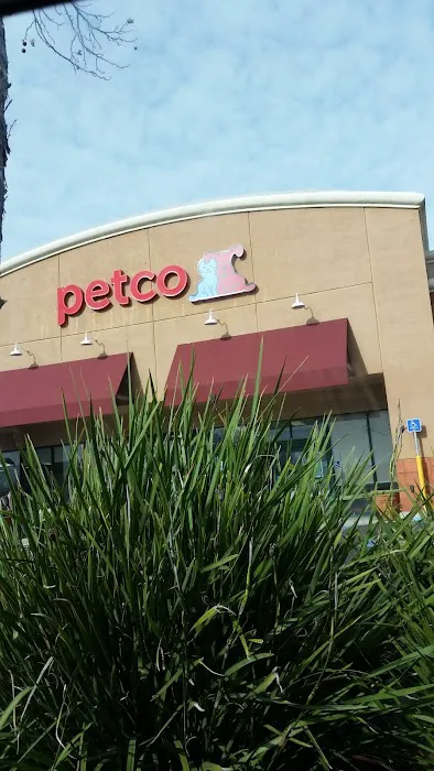Petco Picture 5