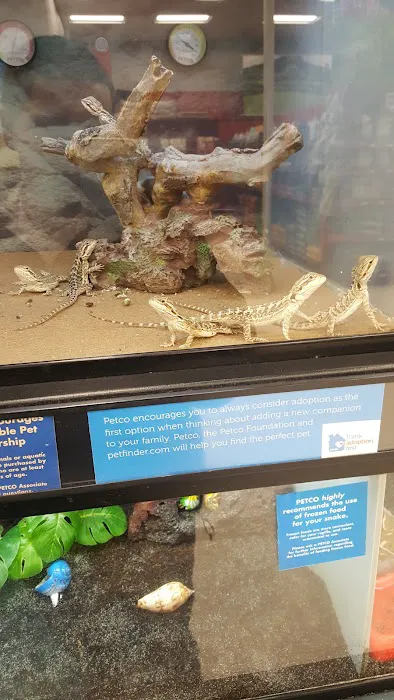 Petco Picture 6
