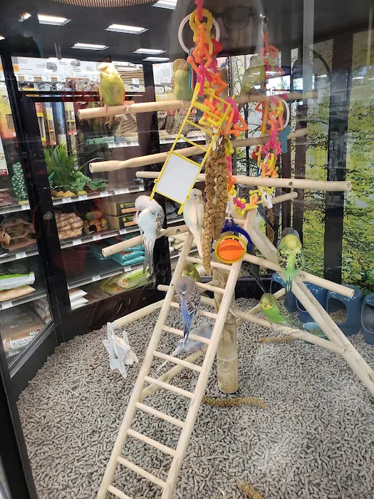 Petco Picture 3