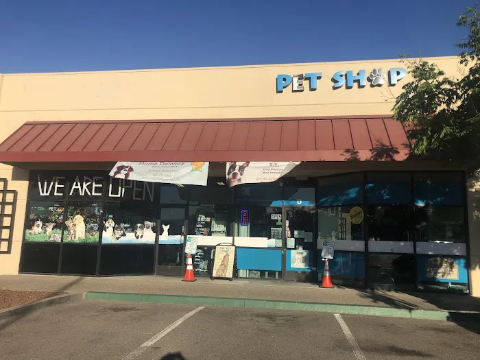 The Pet Shop Picture 2
