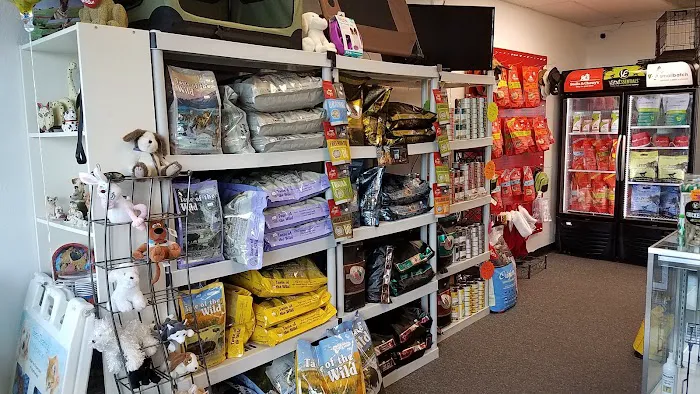 The Pet Shop Picture 8