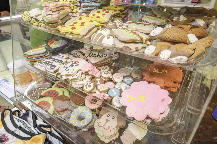 The Pet Shop Picture 5