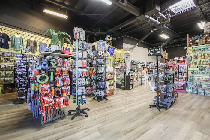 The Pet Shop Picture 4