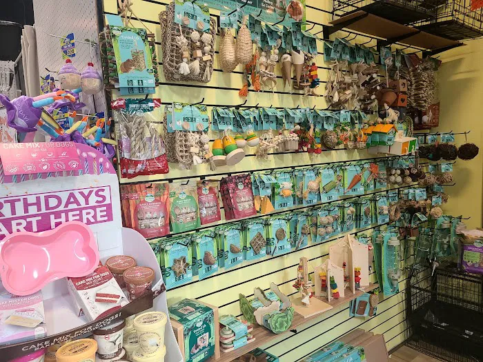 The Pet Shop Picture 6