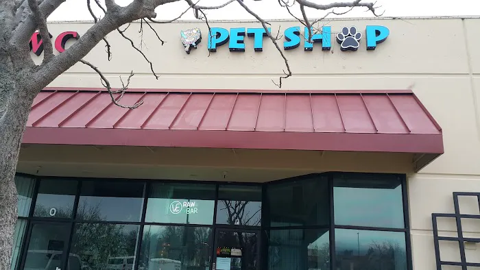 The Pet Shop Picture 7