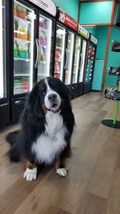 Your Pet's Market Picture 4