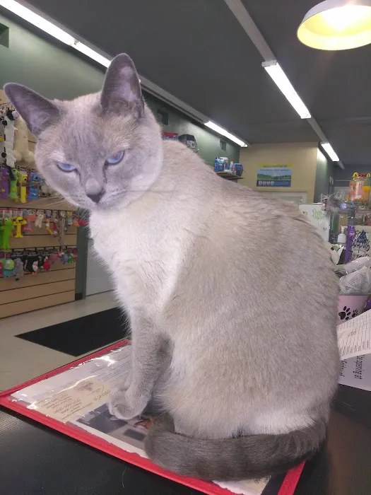 Debbie's Pet Boutique Picture 1