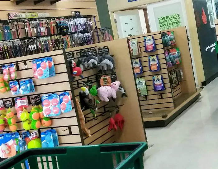 Debbie's Pet Boutique Picture 5