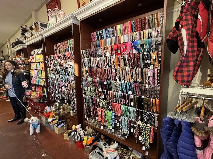 Gussied Up Dog Boutique Picture 5