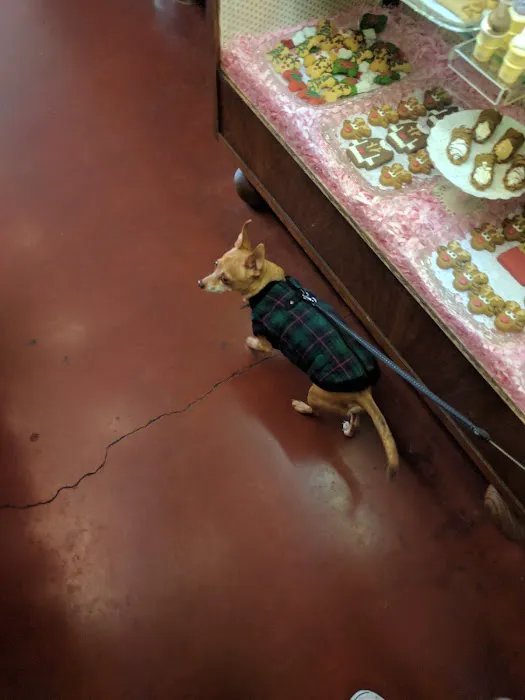 Gussied Up Dog Boutique Picture 9