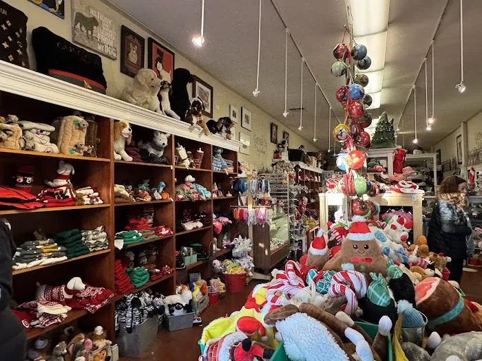 Gussied Up Dog Boutique Picture 7