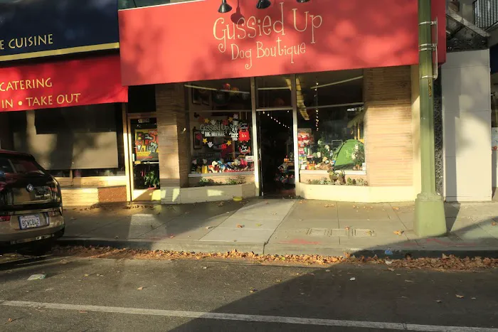 Gussied Up Dog Boutique Picture 6