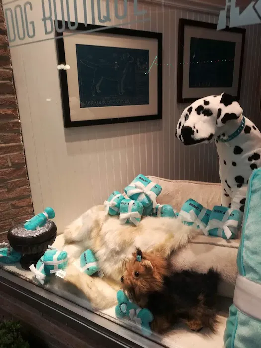 Gussied Up Dog Boutique Picture 2