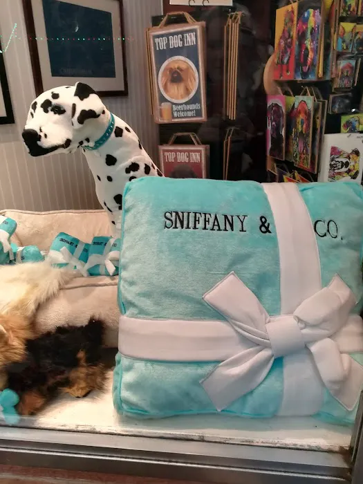 Gussied Up Dog Boutique Picture 3