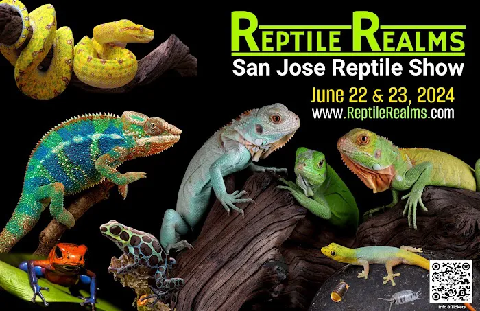 San Jose Reptile Show (June 21 & 22) Picture 7