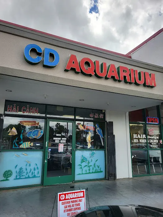 C D Aquarium Picture 1