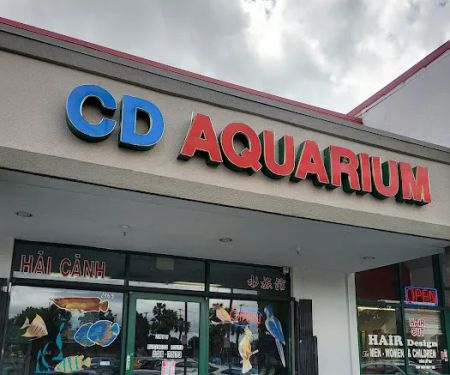 C D Aquarium