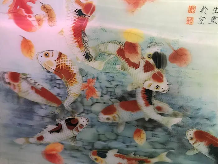 C D Aquarium Picture 2