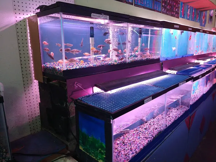 C D Aquarium Picture 8