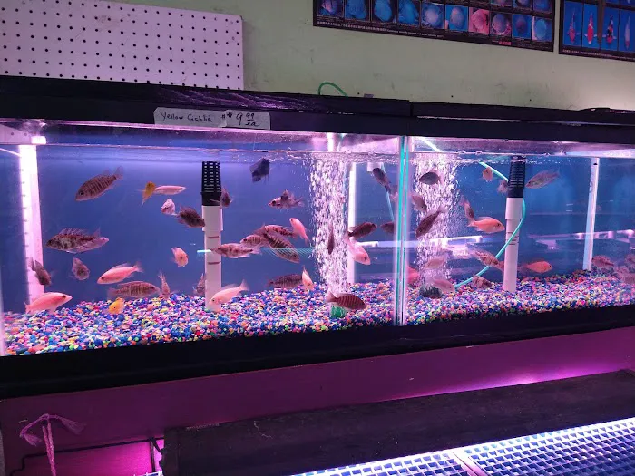 C D Aquarium Picture 7