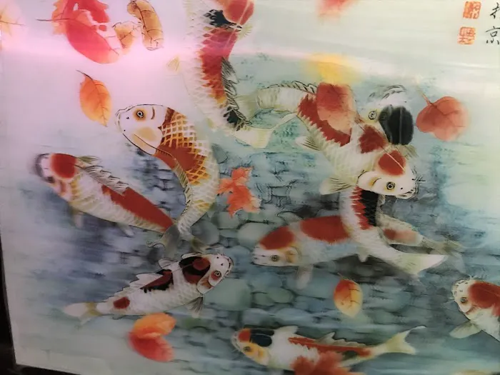 C D Aquarium Picture 3