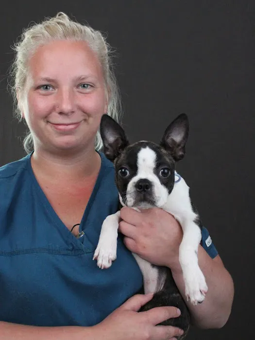 Anicira Veterinary Center Picture 7