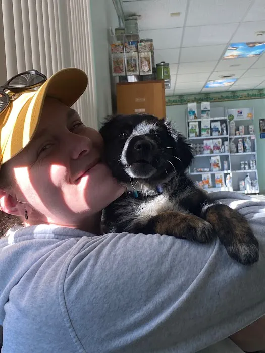 Heartland Veterinary Clinic: Anderson Emily DVM Picture 1