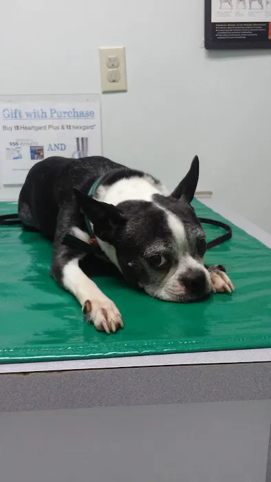 Heartland Veterinary Clinic Picture 3