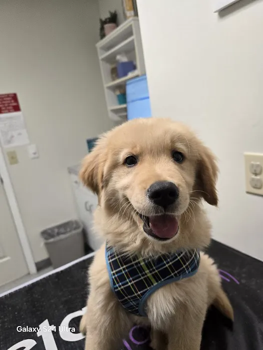 Heartland Veterinary Clinic Picture 7