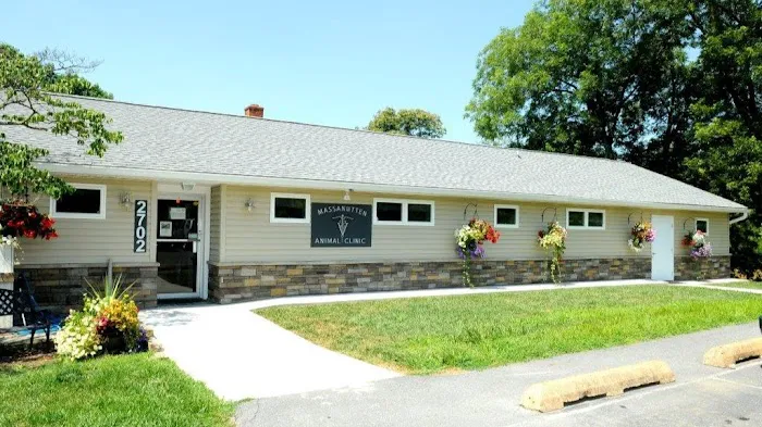 Massanutten Animal Clinic Picture 1