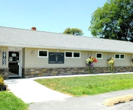 Massanutten Animal Clinic