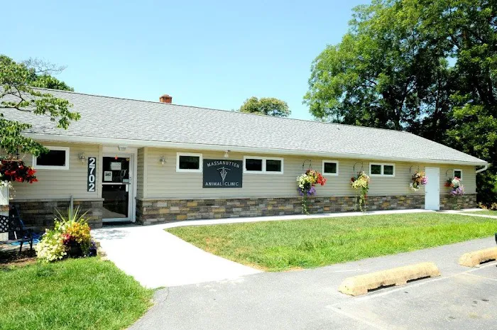 Massanutten Animal Clinic Picture 2